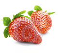 corrugated_paper_planet_paper_box_toronto_strawberries_produce_corrugated