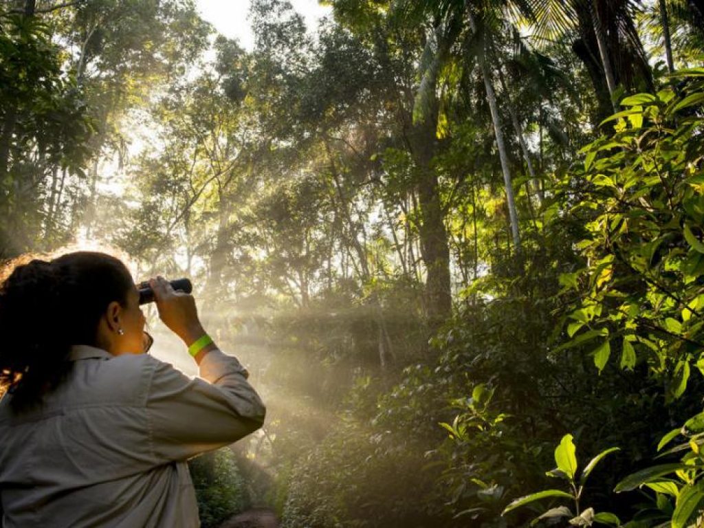 World Wildlife Fund organizes around reuse of materials