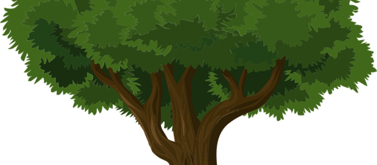 TREES AND PACKAGING