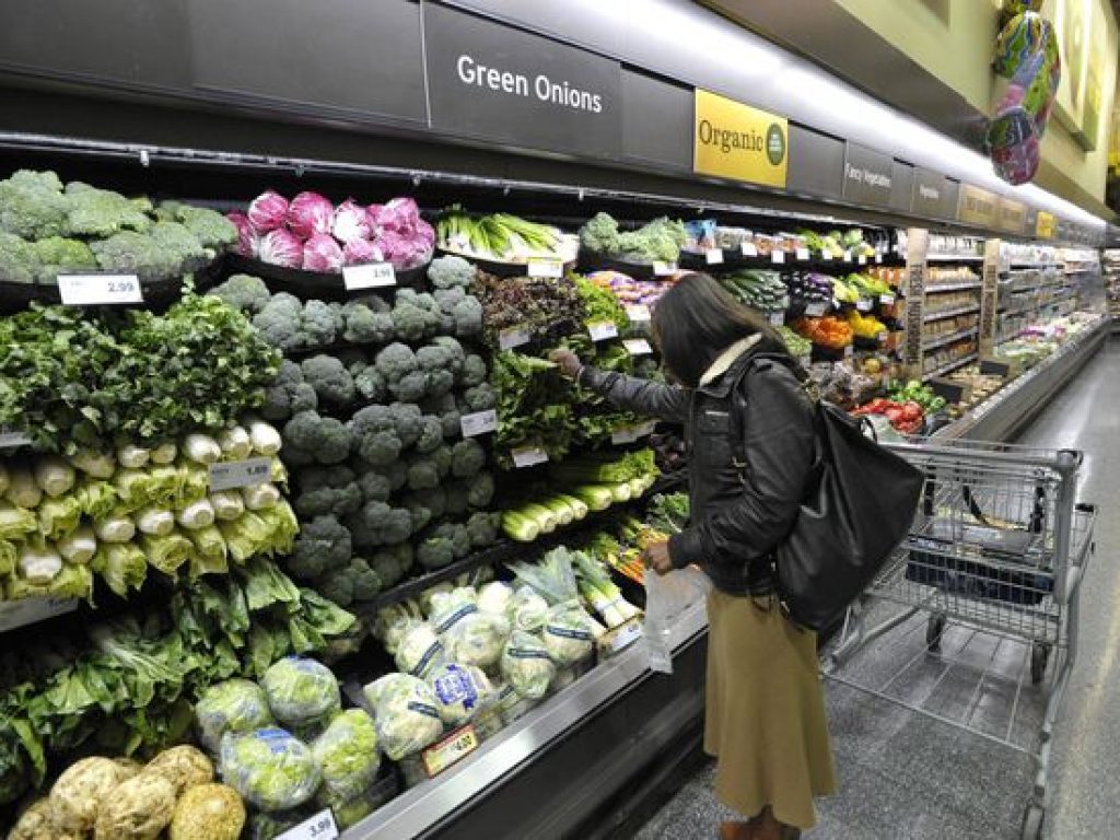 Paper or plastic? Canadian scientist at centre of grocery debate