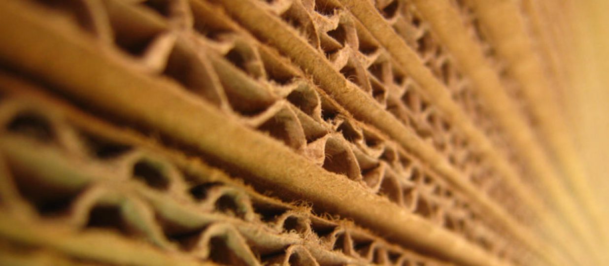 2023 US Corrugated box and container board market trends to watch