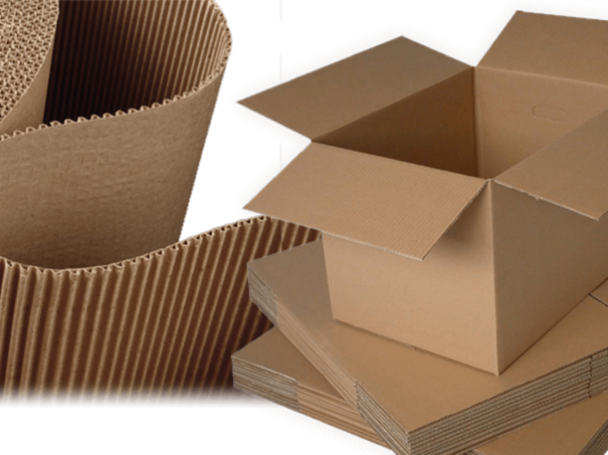 Top Folding Carton Manufacturers and Suppliers in the USA